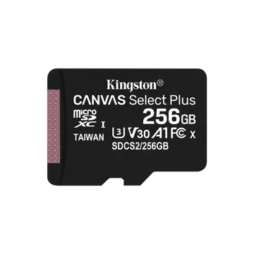Карта памяти Kingston SDCS2/256GBSP Class 10 256GB без адаптера